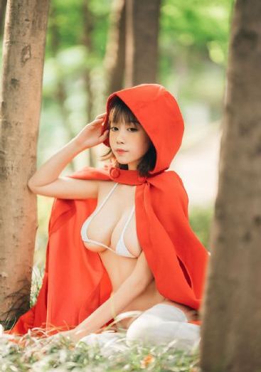 芝加哥烈焰第十季