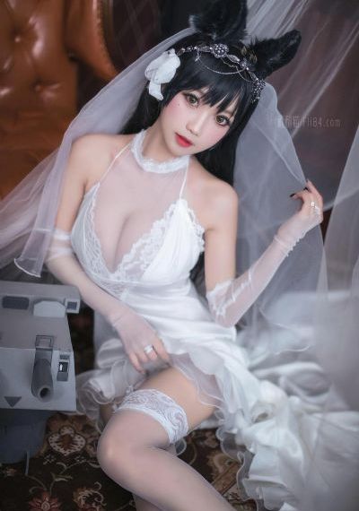 西西里著名的熊入侵事件