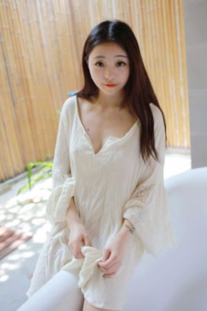 内战圣伯纳犬