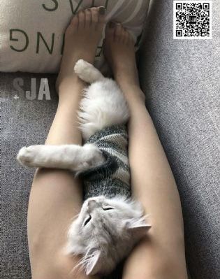 请叫我夫人