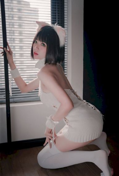 卡片战斗先导者