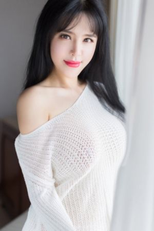猫狗大乱斗