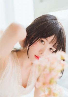 狼伴归途【影视解说】