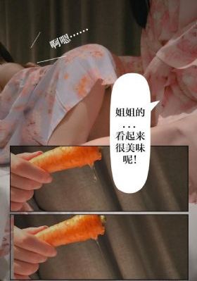 秦巴之恋